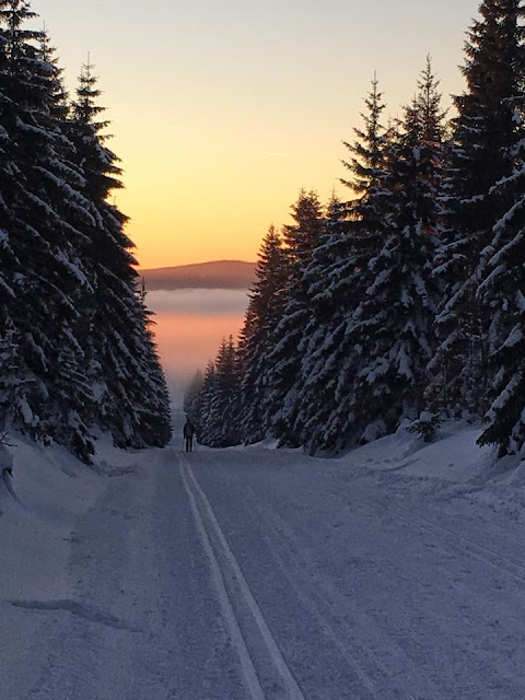 śmieci w górach, góry z psem, podróże z psem, karkonosze z psem, izery z psem